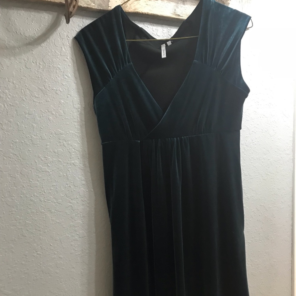Luxurious velvet dress